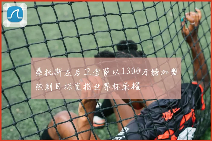桑托斯左后卫索萨以1300万镑加盟热刺目标直指世界杯荣耀